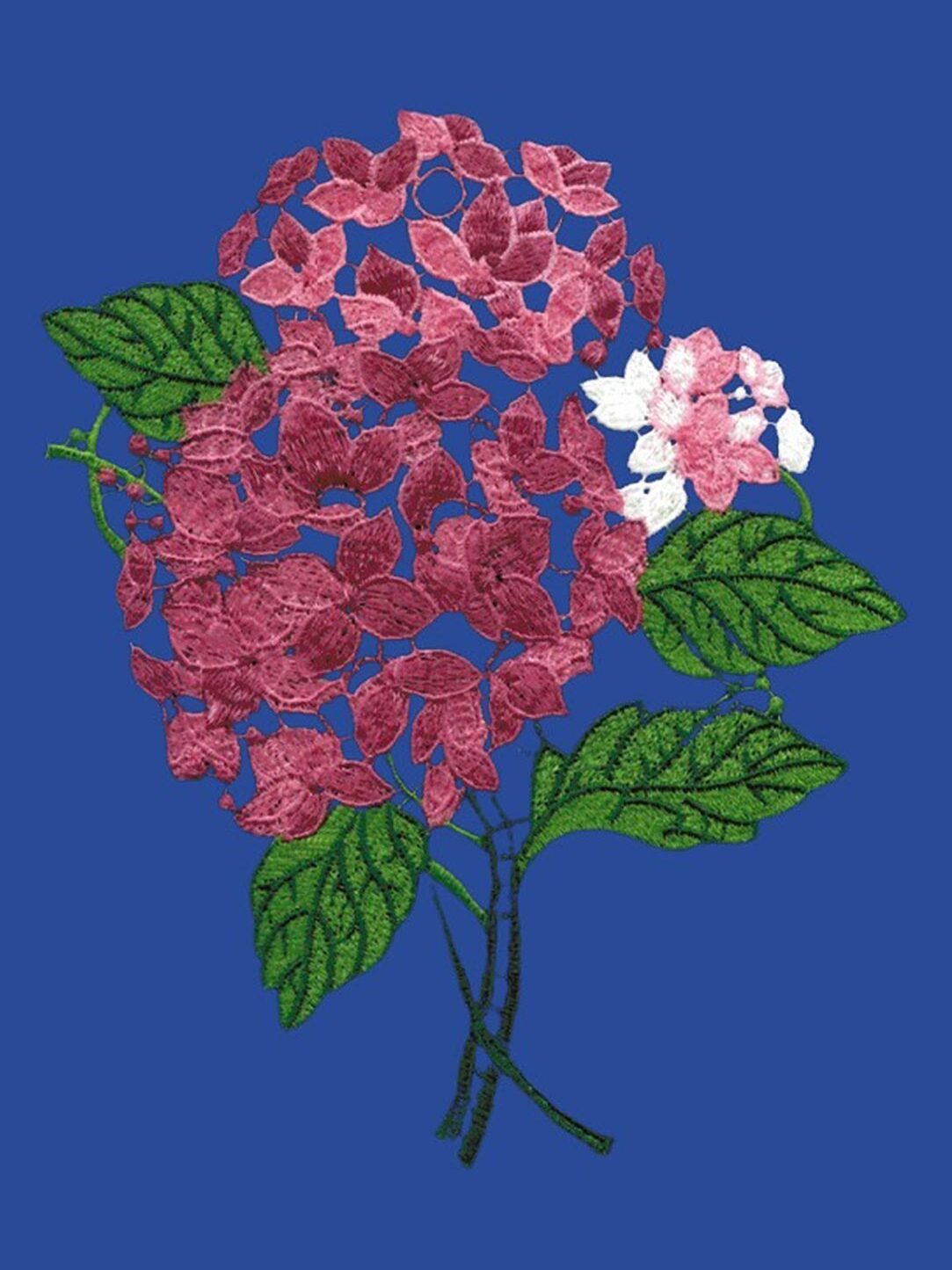 plauener spitze fensterbild hortensie
