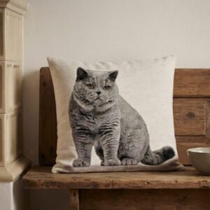 Kissen Tiere